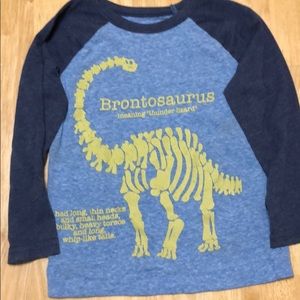 Little boys long sleeve dinosaur tee.